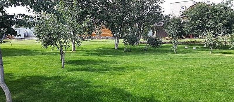 У нас можно купить семена газонных трав и удобрения